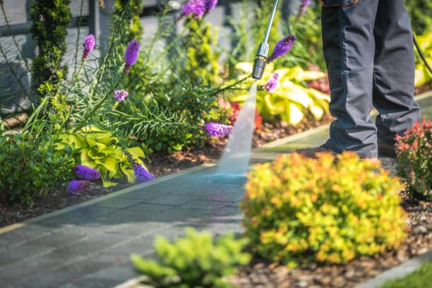 Best Machinery and Equipment Cleaning  in Mount Arlington, NJ